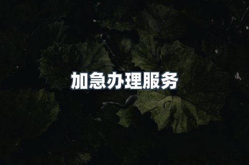 加急办理服务